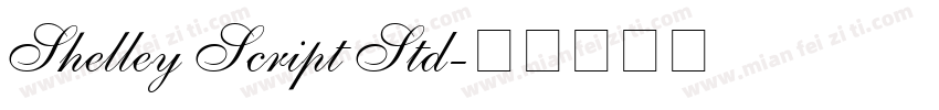 Shelley Script Std字体转换